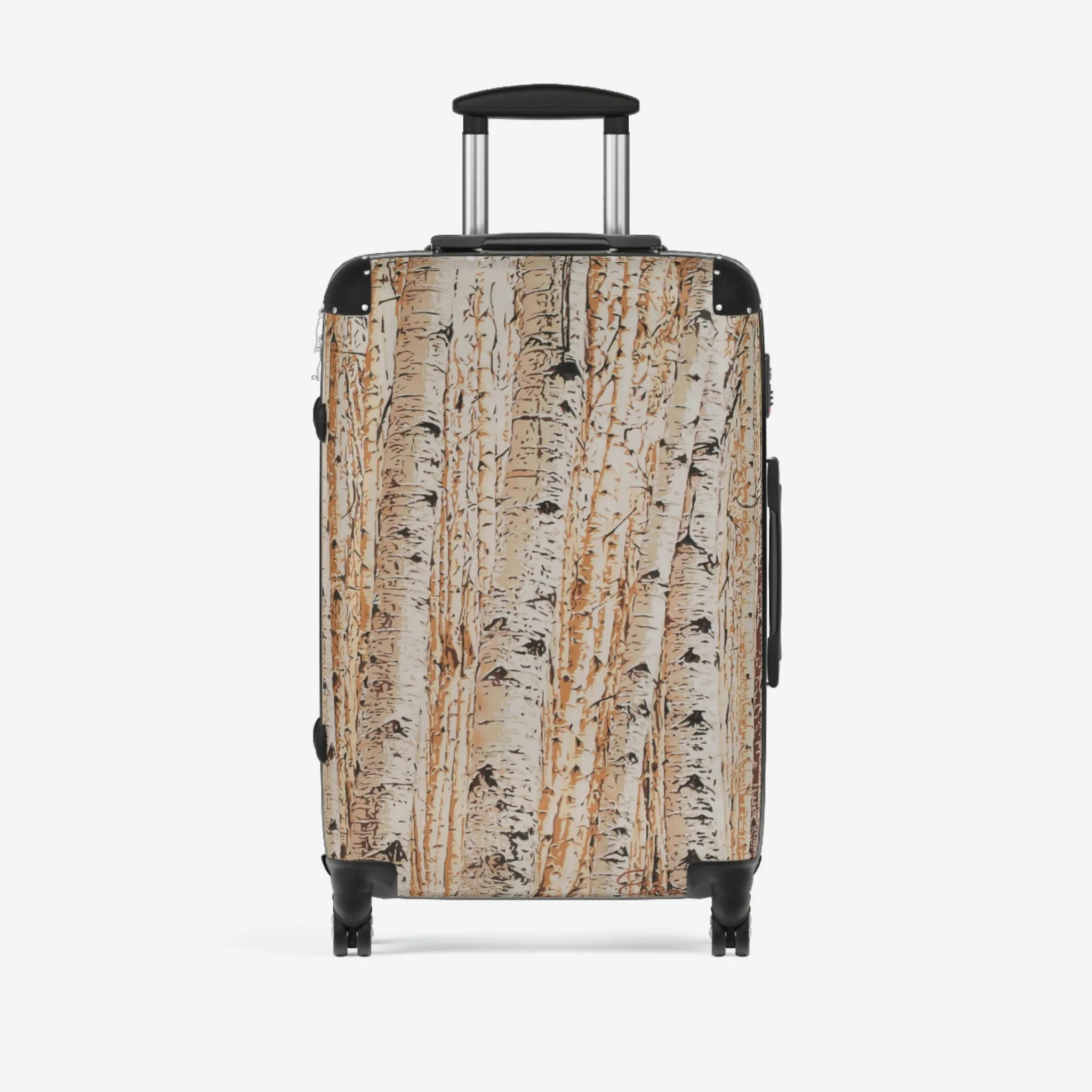 All We Can't See Suitcases