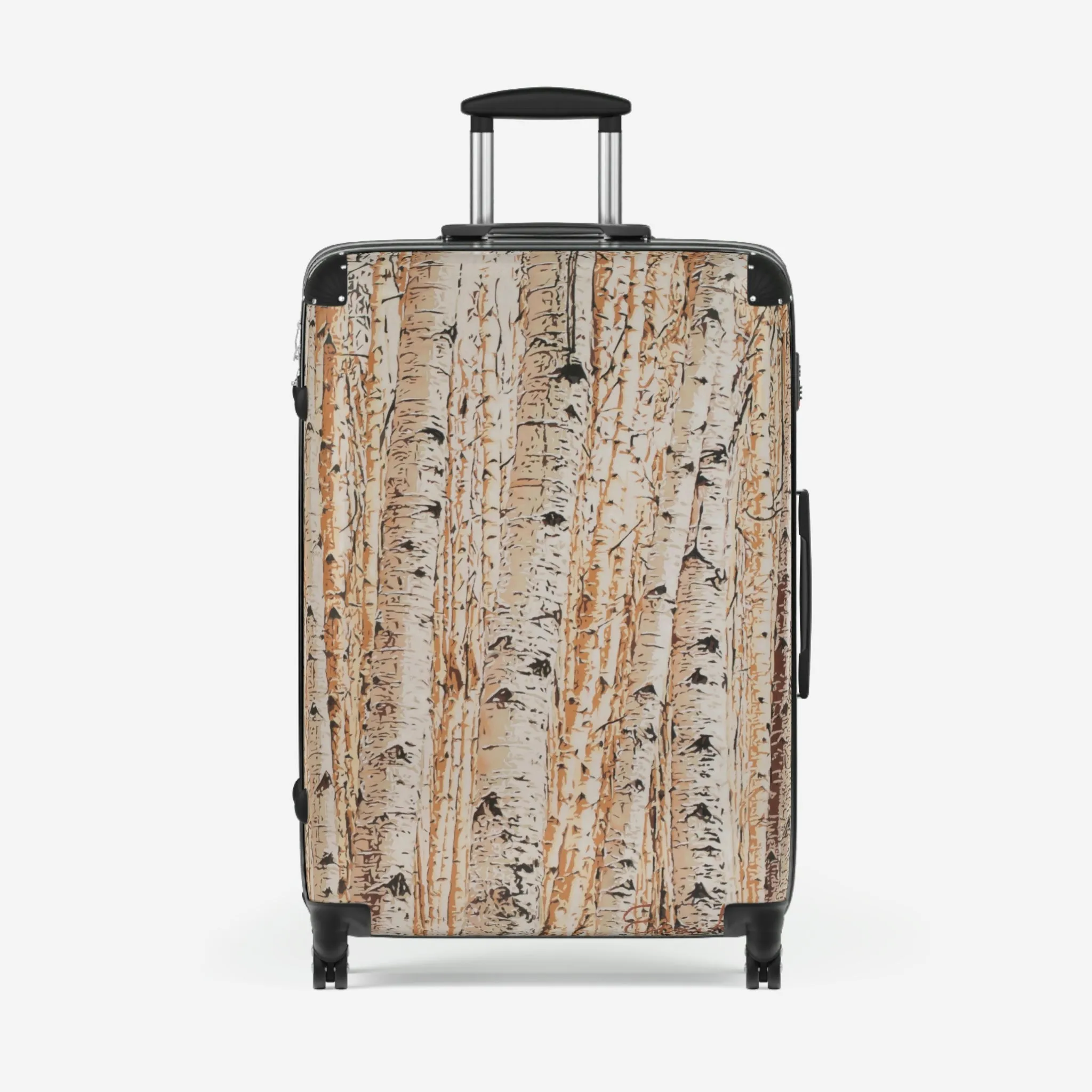 All We Can't See Suitcases